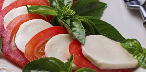 Queso mozzarella fresca